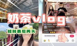 桂林饭店爆料视频最新,揭秘幕后真相与争议